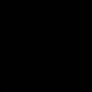 Meet your Posher, Adriana